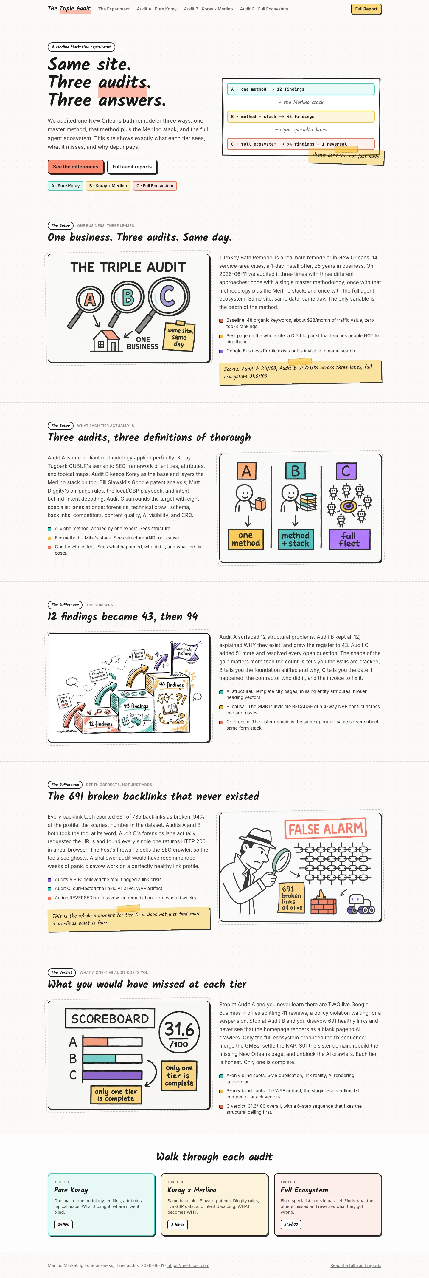 The Triple Audit full page preview